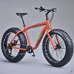 Elektrische Fiets Dikke Banden.